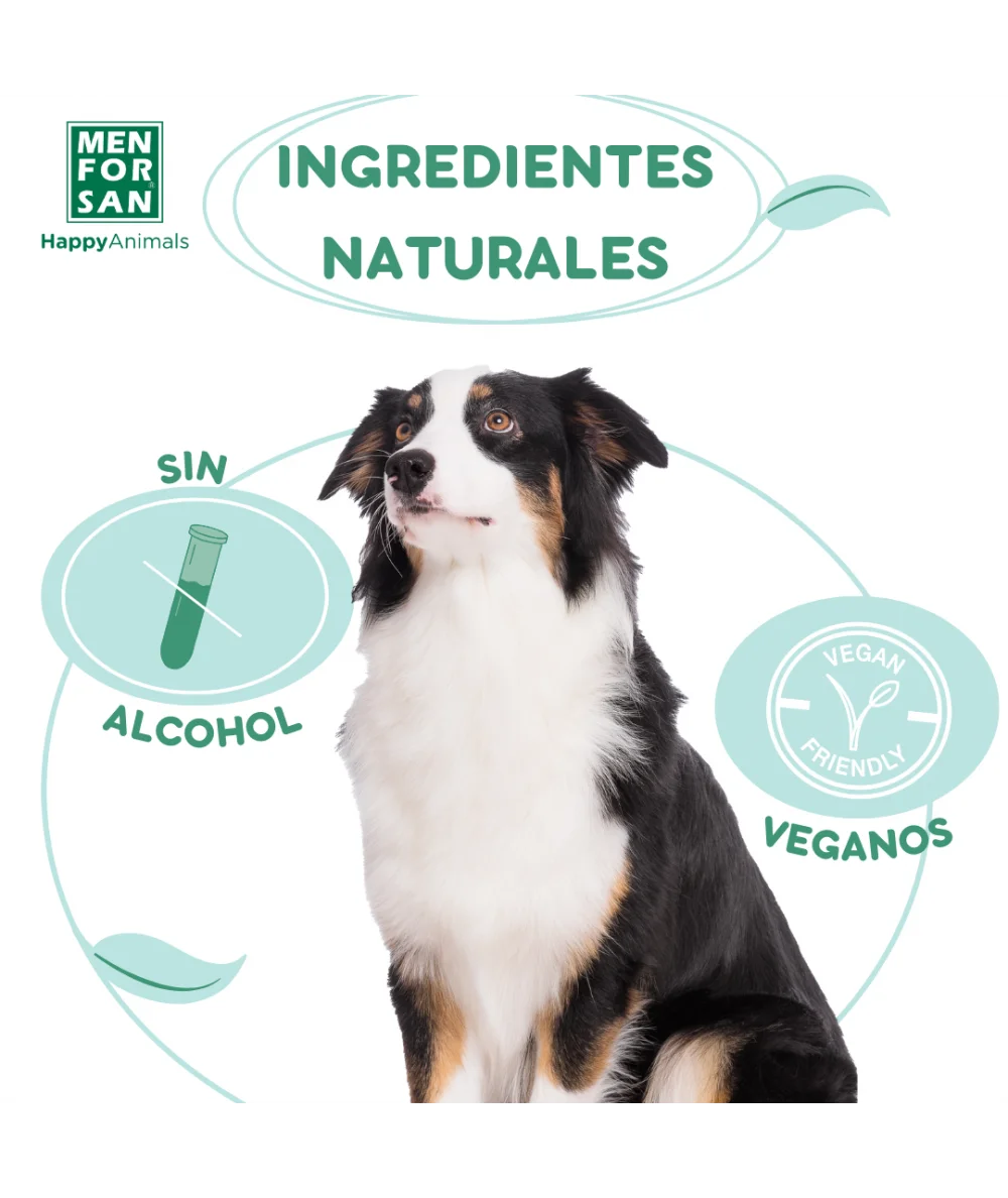 puedes usar aceite de menta alrededor de los perros