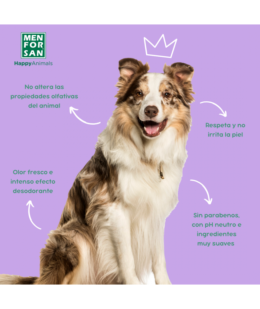 Perfume para perros – One In A Million en aerosol para perros con fragancia  distintiva – La colonia vegana para perros es un desodorante en aerosol