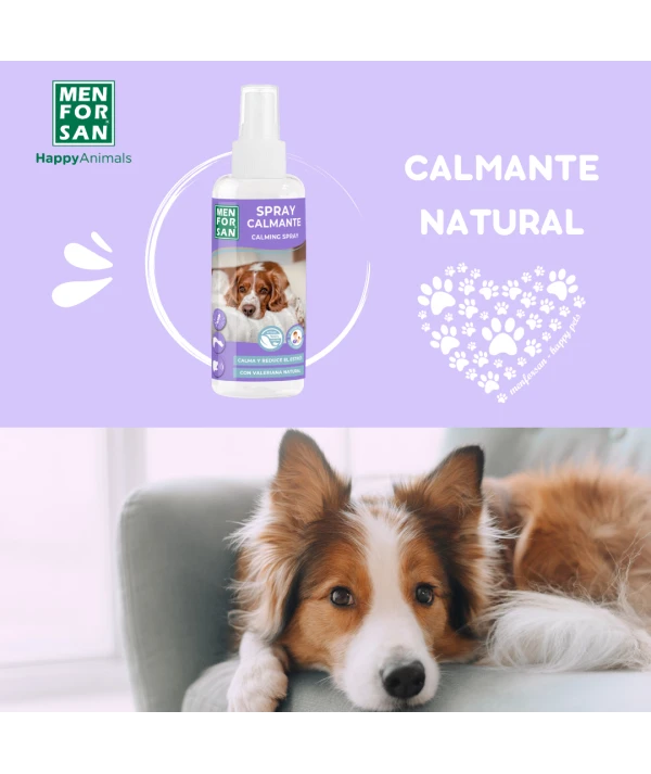 Calming spray for dogs