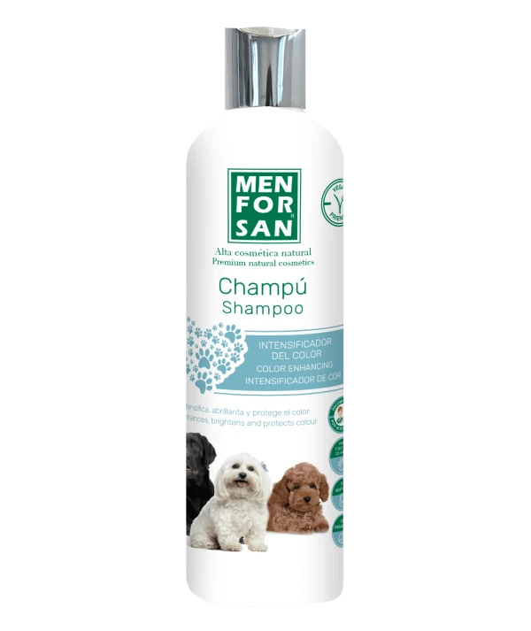 Colour Intensifying Shampoo 300ml | MENFORSAN