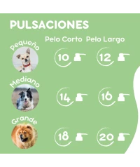 Champú con Aloe Vera para perros 5L | Repara pelajes resecos o deteriorados | Menforsan