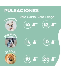 Champú Repelente de insectos para perros 300ml | Menforsan