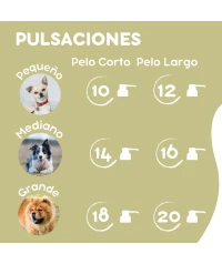 Champú para perros 300ml | Con Árbol de Té | Menforsan