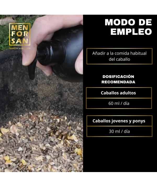 Alimento complementario Pro Energy para caballos 1L | Menforsan