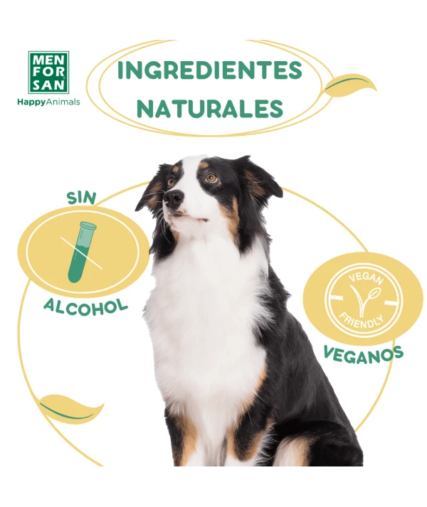 Agua de colonia para perros 125ml | Fragancia melón| Menforsan