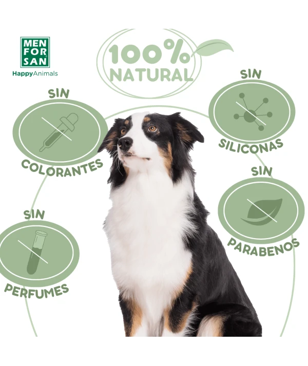 Champú con Aloe Vera para perros 5L | Repara pelajes resecos o deteriorados | Menforsan