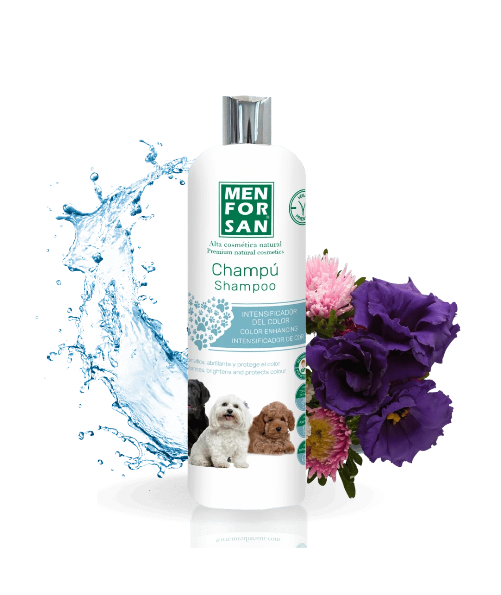 Champú Intensificador de Color 300ml