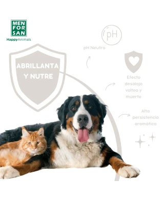 Insecticide floorcleaner total 10 1LL | Menforsan