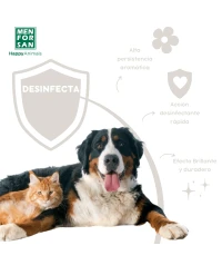 Disinfectant cleaner BP2 1L | Menforsan