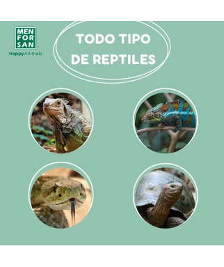 Eliminador de olores terrarios 250ml | Menforsan