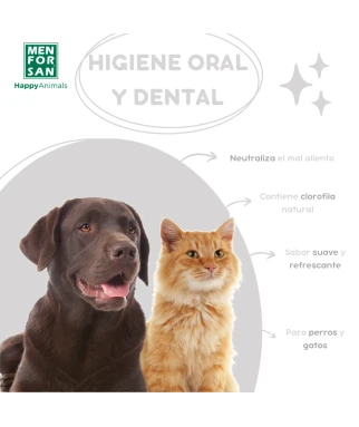 Bucal spray for dogs | Menforsan