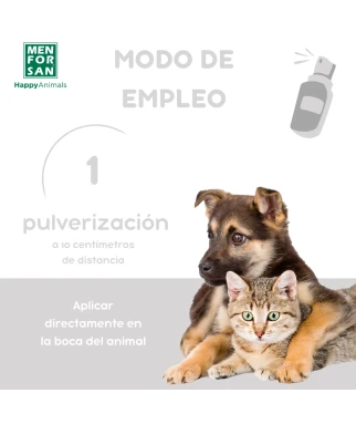 Bucal spray for dogs | Menforsan