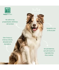 Perfume Junior dog 50ml | Menforsan