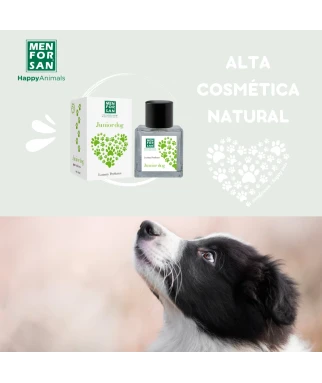 Perfume para cachorros 50ml | Junior Dog | Menforsan
