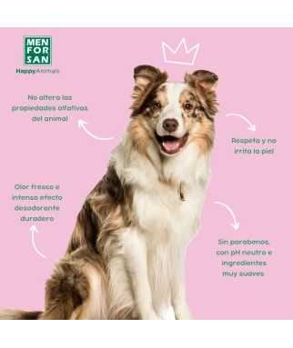 Perfume Lady dog 50ml | Menforsan