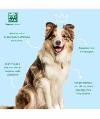 Perfume Dandy Dog 50ml | Menforsan