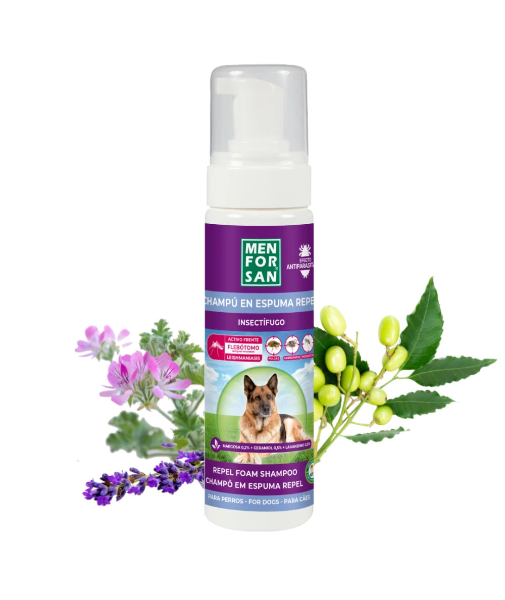 Anti-insect foam for dogs 200ml | Menforsan