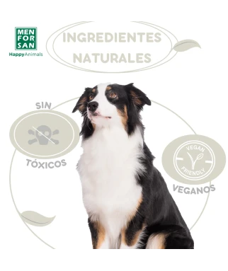 Anti-insect powder shampoo for dogs and cats 250gr| Menforsan