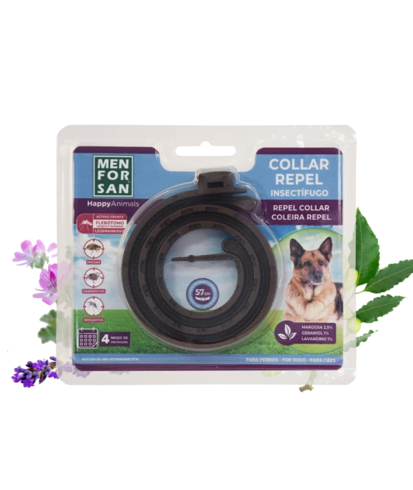 Anti-insect collar for dogs | Menforsan