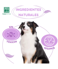 Anti-insect collar for dogs | Menforsan