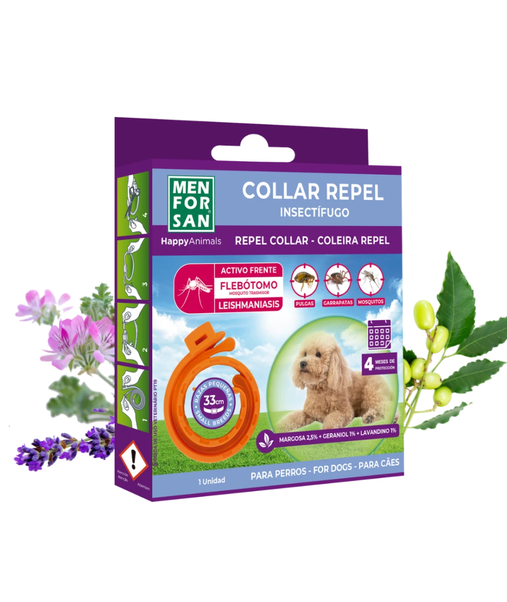 Anti-insect collar for small dogs | Menforsan