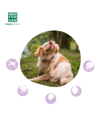 Anti-insect collar for small dogs | Menforsan