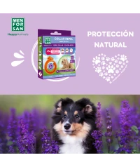 Anti-insect collar for small dogs | Menforsan
