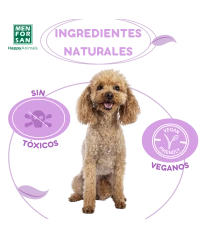 Anti-insect collar for small dogs | Menforsan