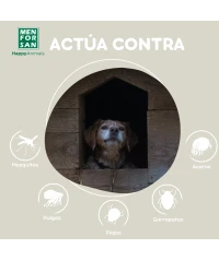 Insecticide for dogs enviroment 250ml | Menforsan