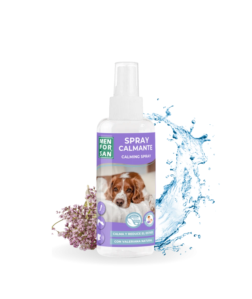 Calming spray for dogs