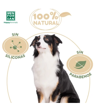 Oats shampoo for dogs 5L | Menforsan