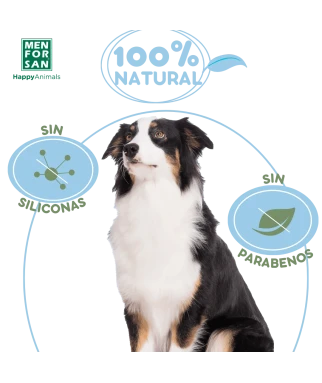 Odor eliminator shampoo for dogs 5L | Menforsan