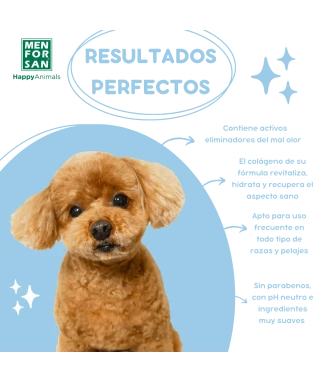 Odor eliminator shampoo for dogs 5L | Menforsan