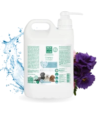 Colour Intensifying Shampoo 5L | MENFORSAN