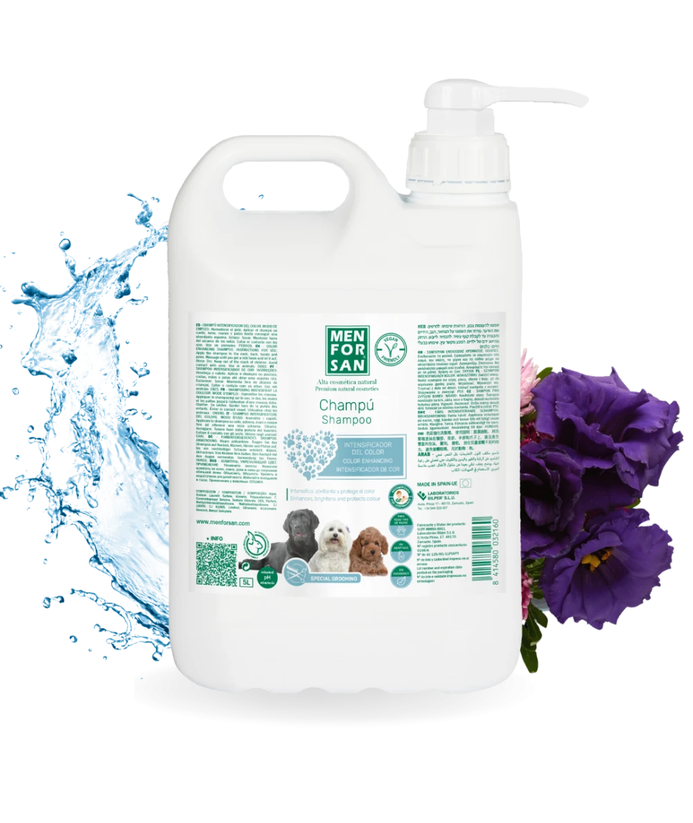 Colour Intensifying Shampoo 5L | MENFORSAN