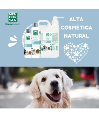 Colour Intensifying Shampoo 5L | MENFORSAN