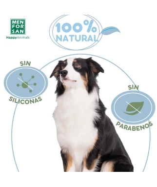 Colour Intensifying Shampoo 5L | MENFORSAN