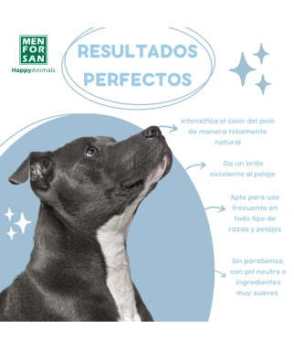 Colour Intensifying Shampoo 5L | MENFORSAN