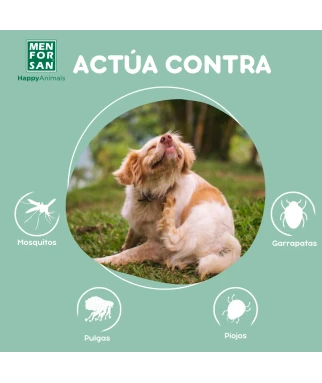 Natural insect repellent shampoo for dogs 5L| Menforsan