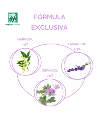 Champú Anti Insectos 5L para perros | Elimina todos los insectos en un lavado | Menforsan