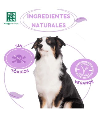 Champú Anti Insectos 5L para perros | Elimina todos los insectos en un lavado | Menforsan