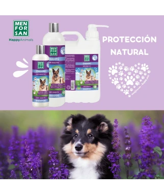 Champú Anti Insectos 5L para perros | Elimina todos los insectos en un lavado | Menforsan
