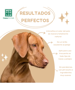 Brown fur shampoo for dogs 5L | Menforsan