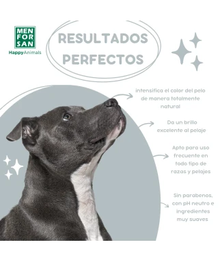 Champú para perros 5L | Pelo negro | Menforsan