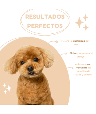 Silk protein and argan oil shampoo for dogs 5L | Menforsan