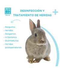 Clorhexidine antiseptic spray 60ml | Menforsan