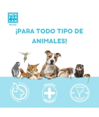 Clorhexidine antiseptic spray 60ml | Menforsan