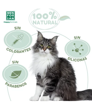 Champú en espuma aloe vera gatos 200ml