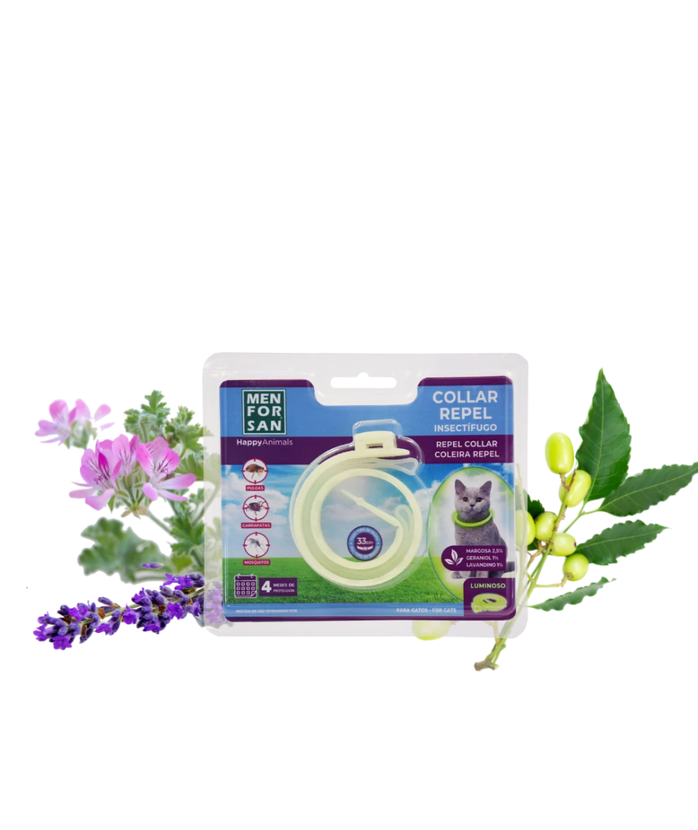 Anti-insect collar for cats | Menforsan