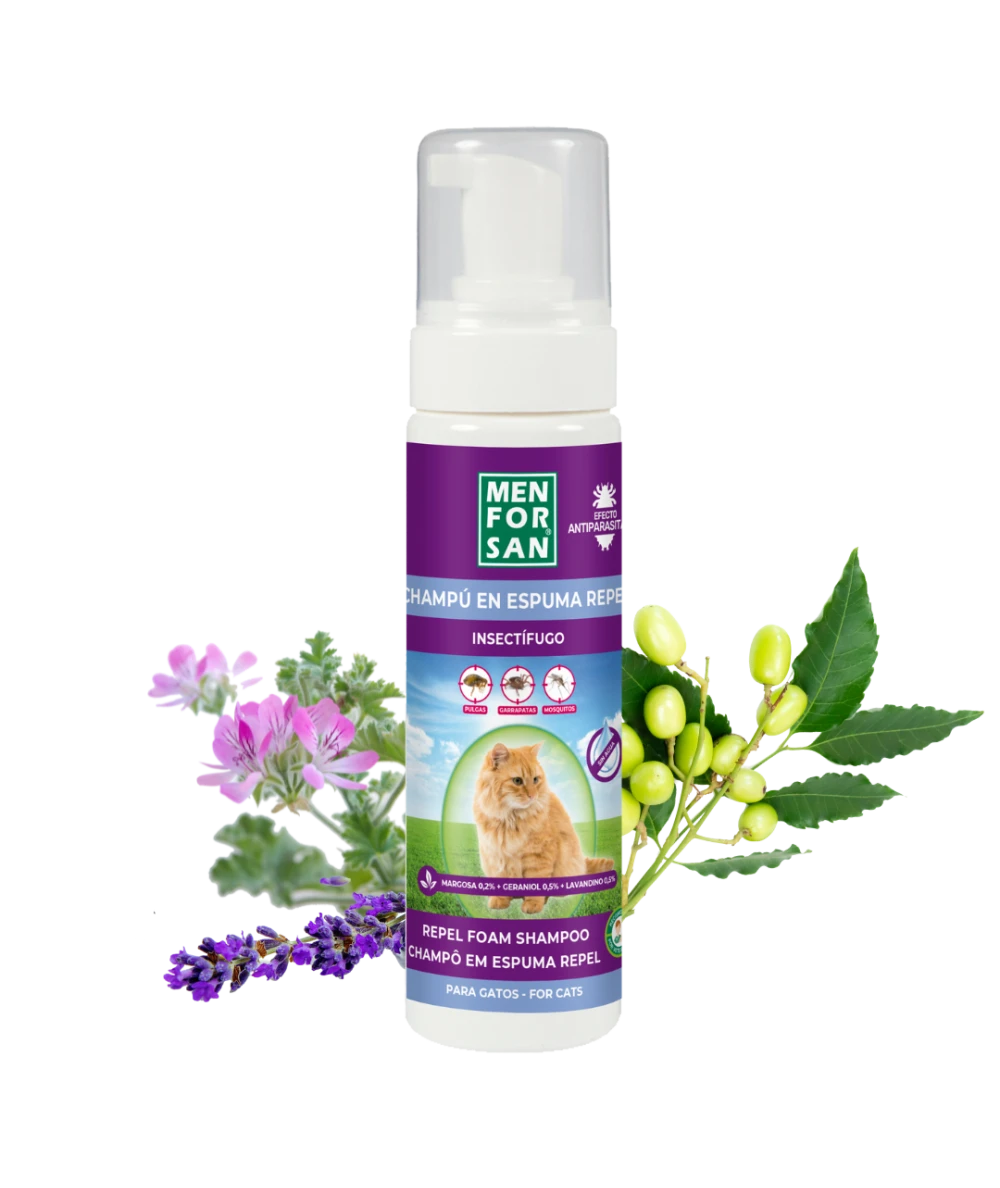 Anti-insect foam shampoo for cats 200ml | Menforsan